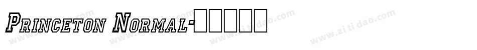 Princeton Normal字体转换